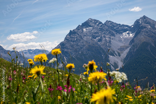 in the area around Scuol, Switzerland