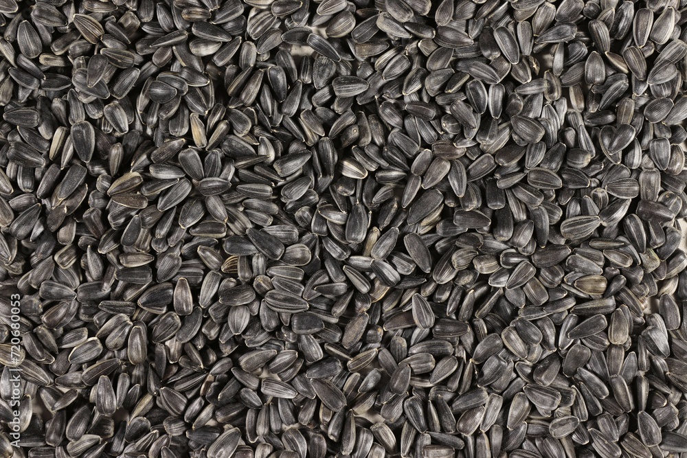 The top view frame field is filled with sunflower seeds. The top view frame field is filled with sunflower seeds.