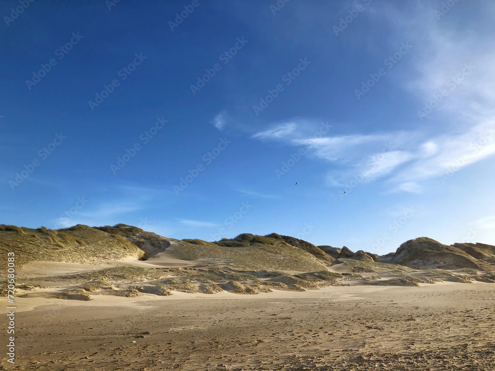 northsea coast, netherlands, julianadorp, beach, dunes, 