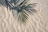 Top view of tropical leaf shadow on water surface Shadow of palm leaves on white sand beach Beautifu