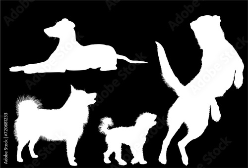 animal, vector, silueta, perros