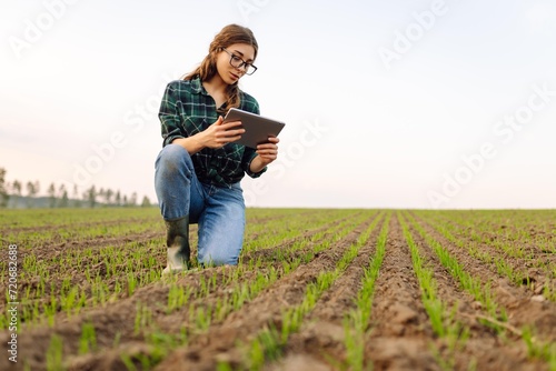 Farmer woman checks young sprouts the quality with a digital tablet. Smart farm. Technologies in farming.