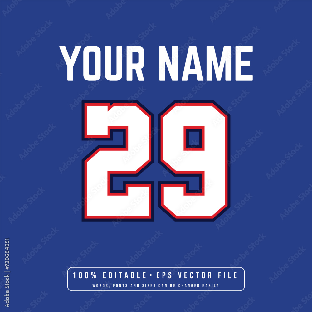 Jersey number, basketball team name, printable text effect, editable vector 29 jersey number