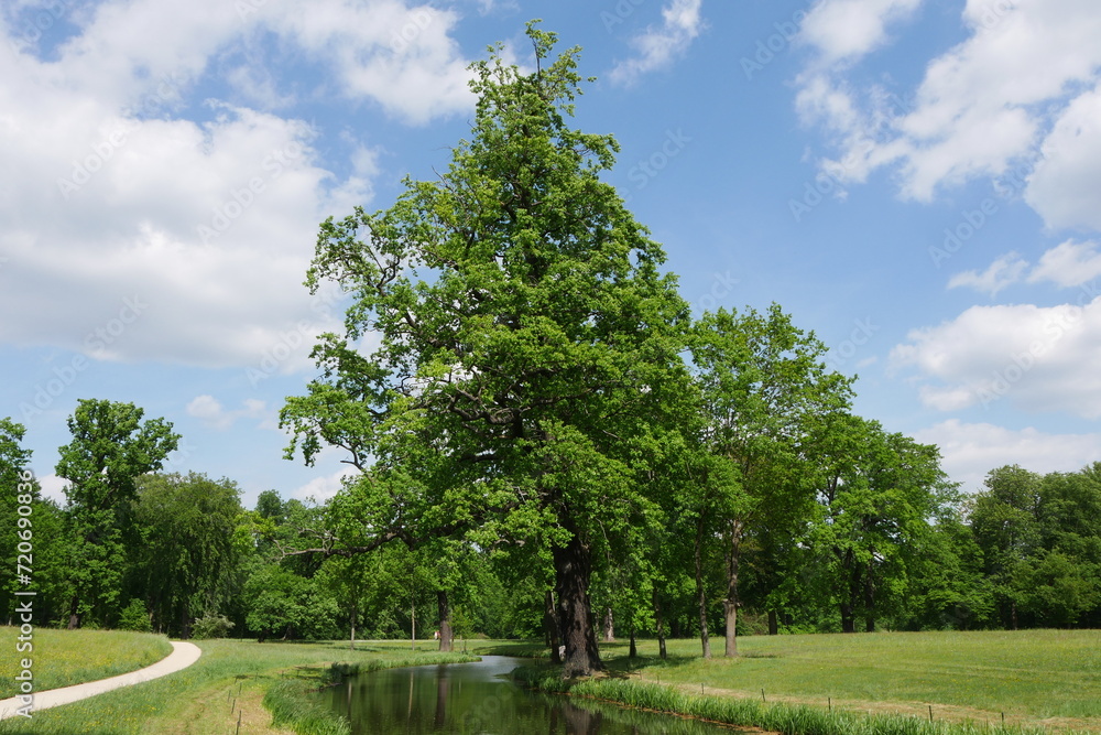 Fürst-Pückler-Park Bad Muskau