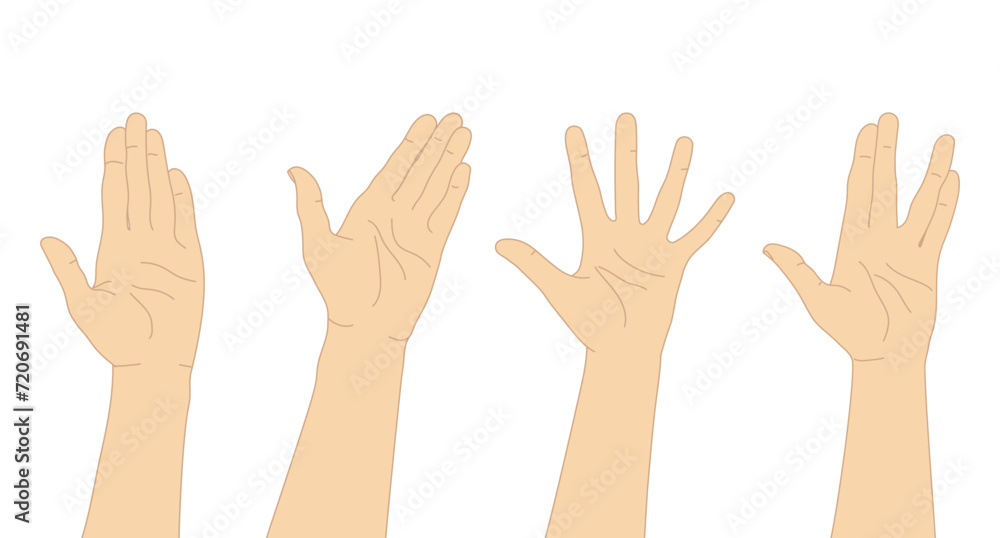 Set of hand drawn human hands. Hand palms with different gestures. Vector illustration