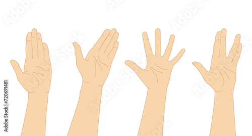 Set of hand drawn human hands. Hand palms with different gestures. Vector illustration