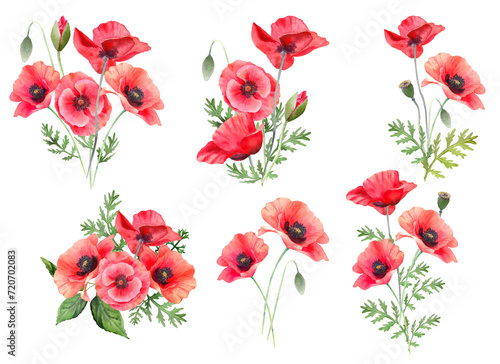 Red poppies flower watercolor illustration. Poppy frame  border  wreath  arrangement. Floral elements for greeting designs. PNG clipart