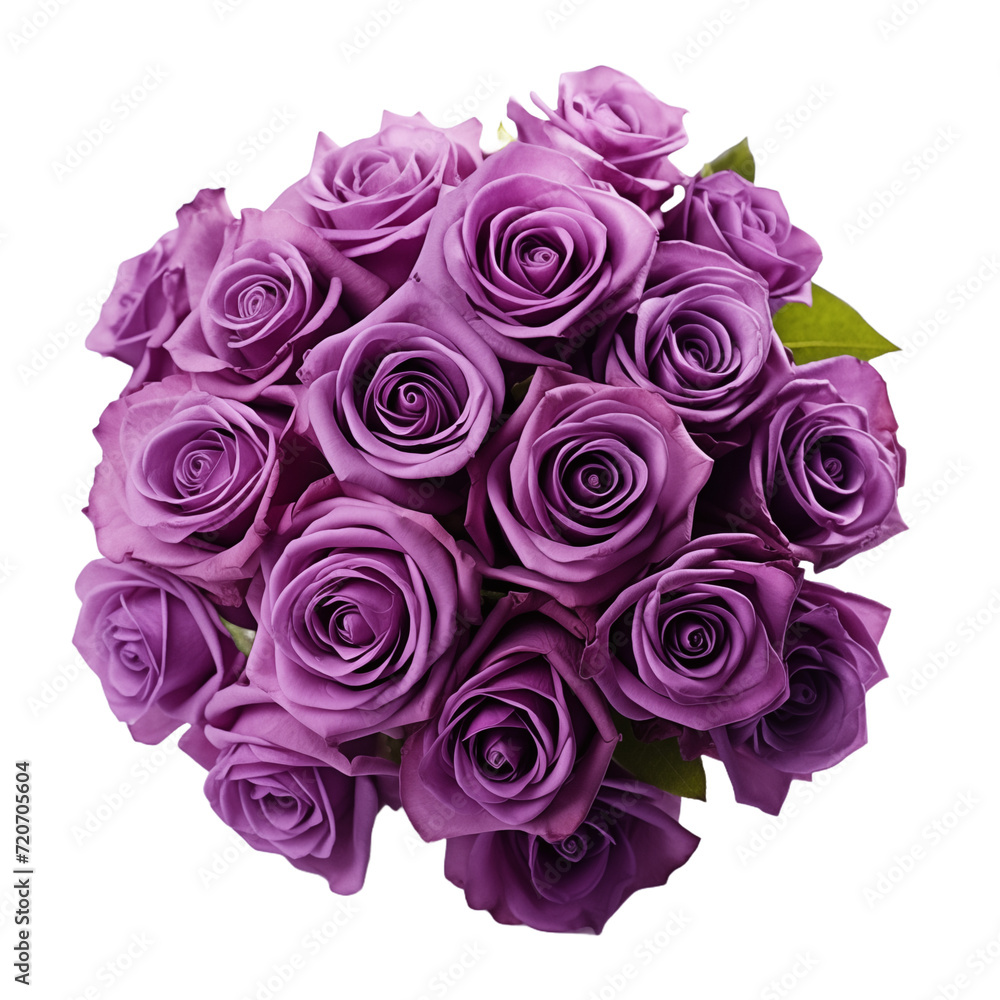 Bouquet of purple roses Isolated on Transparent and white Background. Generative ai