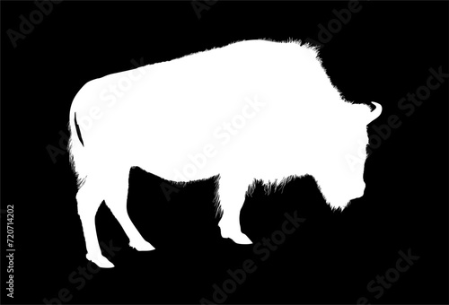 silueta, caballo, animal, vector, animal, rinocerontes