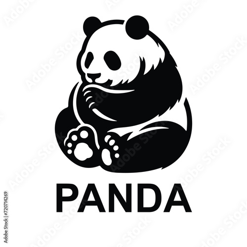 panda bear vector illustration