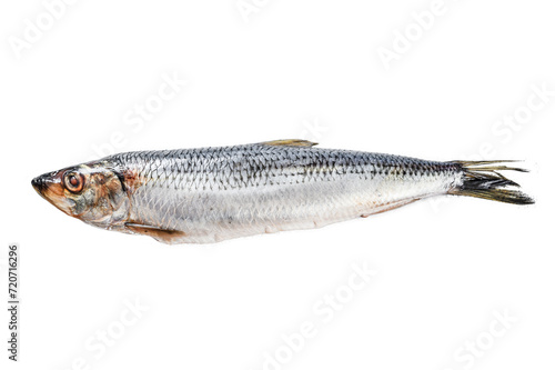 Pickled whole Nordic herring. Isolated, Transparent background. 