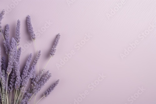 Lavender minimalistic background with line and dot pattern