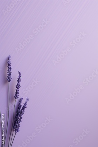 Lavender minimalistic background with line and dot pattern