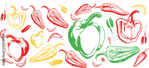 Vector isolated set of red, green, yellow Bulgarian sweet and bitter pepper. Red pepper. Hand drawing. Vegetable engraved style object, full, half and slices. Isolated bell pepper.