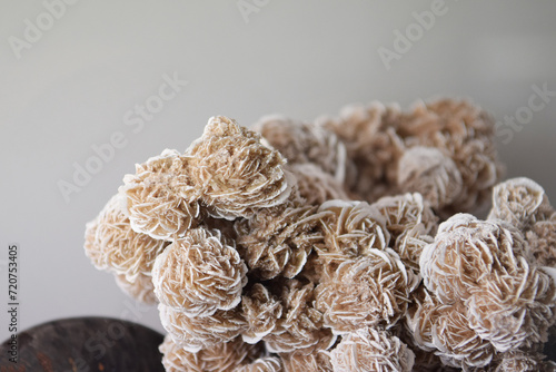 closeup of a Desert rose crystal on gray background with negative space