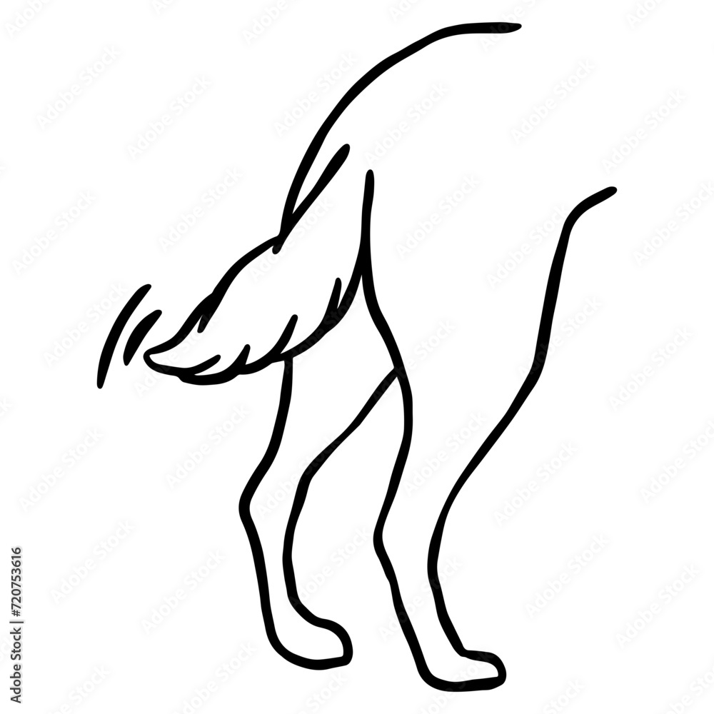Obraz premium Dog Butt