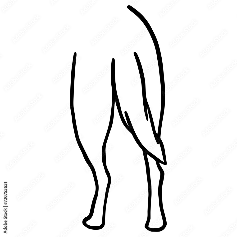Dog Butt Dog Butt