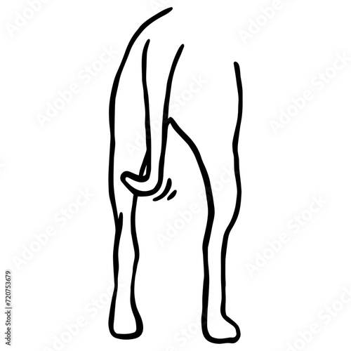 Dog Butt
