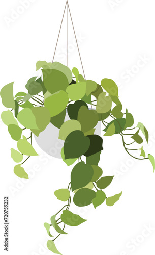 Hanging Neon Pothos Devil's Ivy Plant Flat Vector Illustration