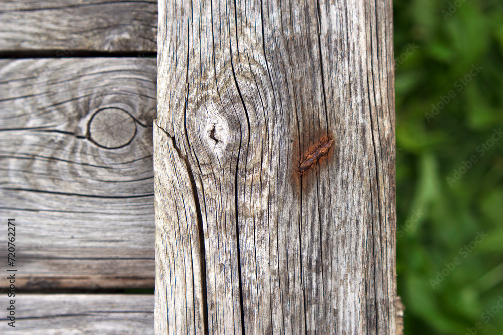 Obraz premium old wood fence with unfocused green grass as a summer countryside background