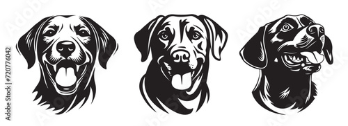 Labrador dog heads, black and white vector graphics photo