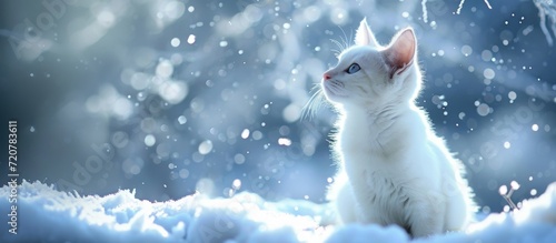 Whimsical White Cat Enjoying Winter Wonderland © AkuAku