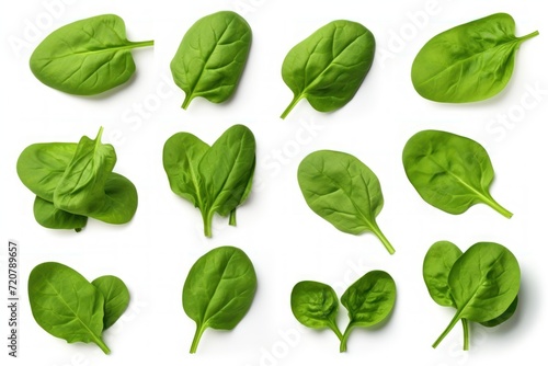 Fresh Green Baby Spinach Leaves on White Background AI Generated