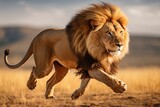 Side View of Lion Running in Scientific Graphy AI Generated