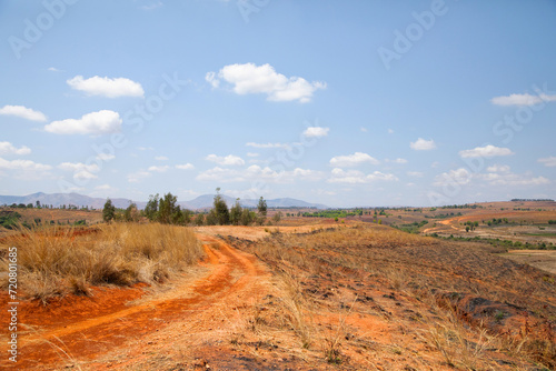 Typical Madagascar landscape rice terrace fields