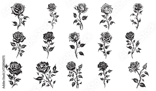 beautiful rose amazing flowers and leaves, black and white vector collection set
