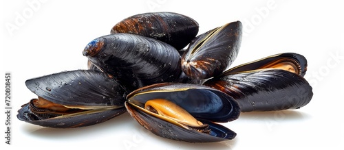 Triple Treat: Mussels on an Isolated White Background - Triple the Visual Impact with Mussels, Isolated on a White Background