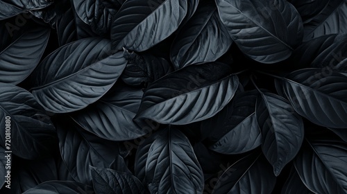 Black abstract leaf textures tropical leaves background. generative ai © Kelly