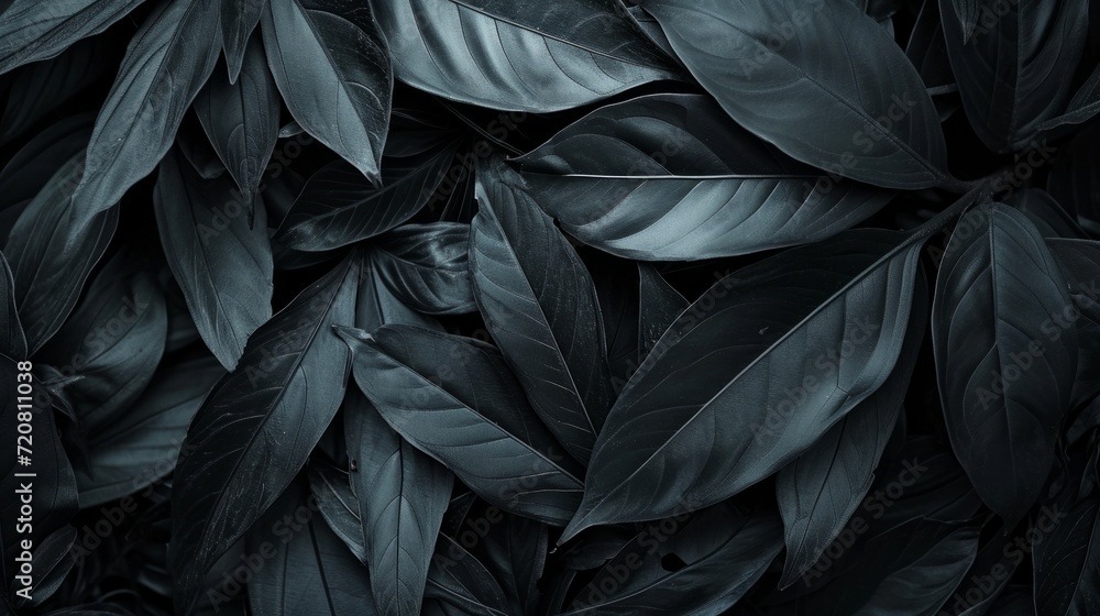 Black abstract leaf textures tropical leaves background. generative ai Black abstract leaf textures tropical leaves background. generative ai