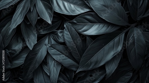 Black abstract leaf textures tropical leaves background. generative ai © Kelly