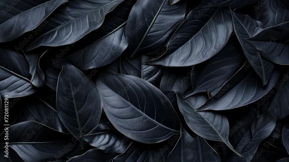 Black abstract leaf textures tropical leaves background. generative ai Black abstract leaf textures tropical leaves background. generative ai