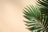 Minimal Summer Concept with Palm Tree Leaf AI Generated