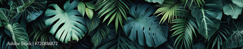 Background from palm leaves. Sleek dark tropical leaves wallpaper, perfect for a sophisticated and modern botanical look photo