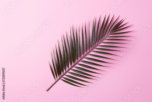 Tropical Palm Leaf on Pink Background AI Generated