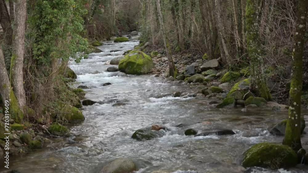 Ambroz mountain river running fast through a gallery of trees horizontally Ambroz mountain river running fast through a gallery of trees horizontally