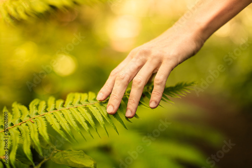 Woman's hand touching green fern leaf in the forest. People love nature concept.  photo