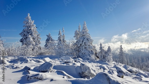 Bavarian forest Lusen snow on trees winter