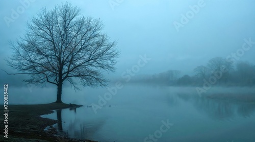 Bare defoliated tree on lake shore in early morning blue mist fog, moody landscape, dark, background, copyspace, Celtic, Ireland