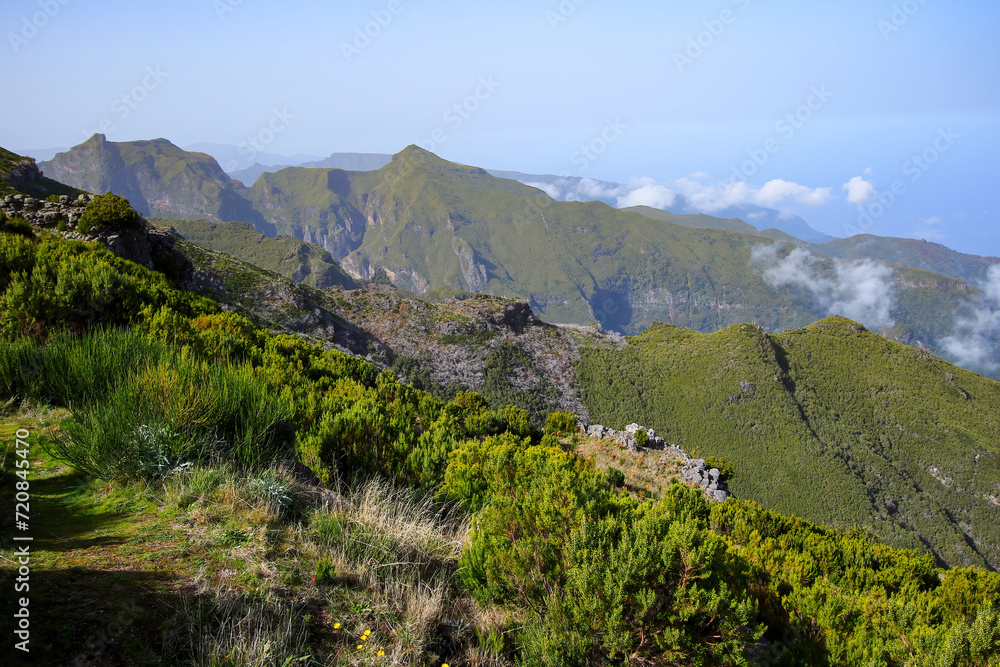 Fototapeta premium View over the clouds from the Pico Ruivo, the highest mountain peak on Madeira island, Portugal - Heathland on dry slopes in the Atlantic Ocean