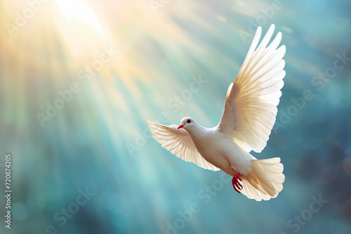Fliegende Taube im Licht, Zeichen für Frieden, Religion, Christentum, Ostern, Freiheit, Hochzeit, Liebe photo