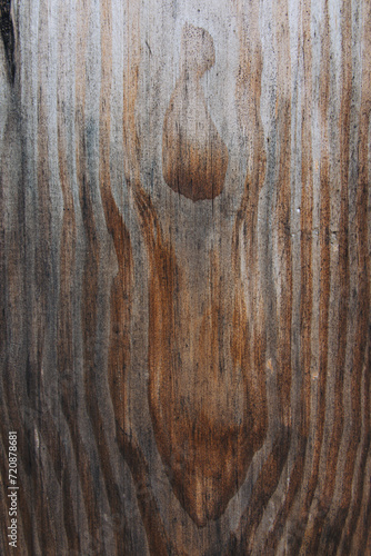 tekstura drewna