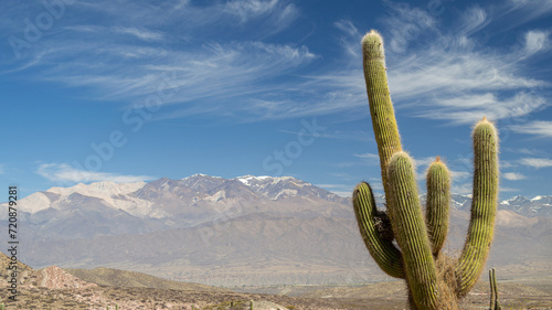 Panoramic view of Calchaquies Valley (Salta, Argentina) photo
