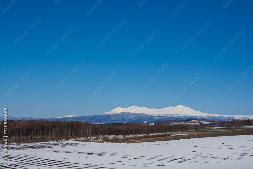 雪が残る春の畑作地帯と雪山　大雪山

