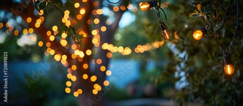 Outdoor fairy lights hanging from trees in an Australian backyard, captured with a shallow depth of field at night.