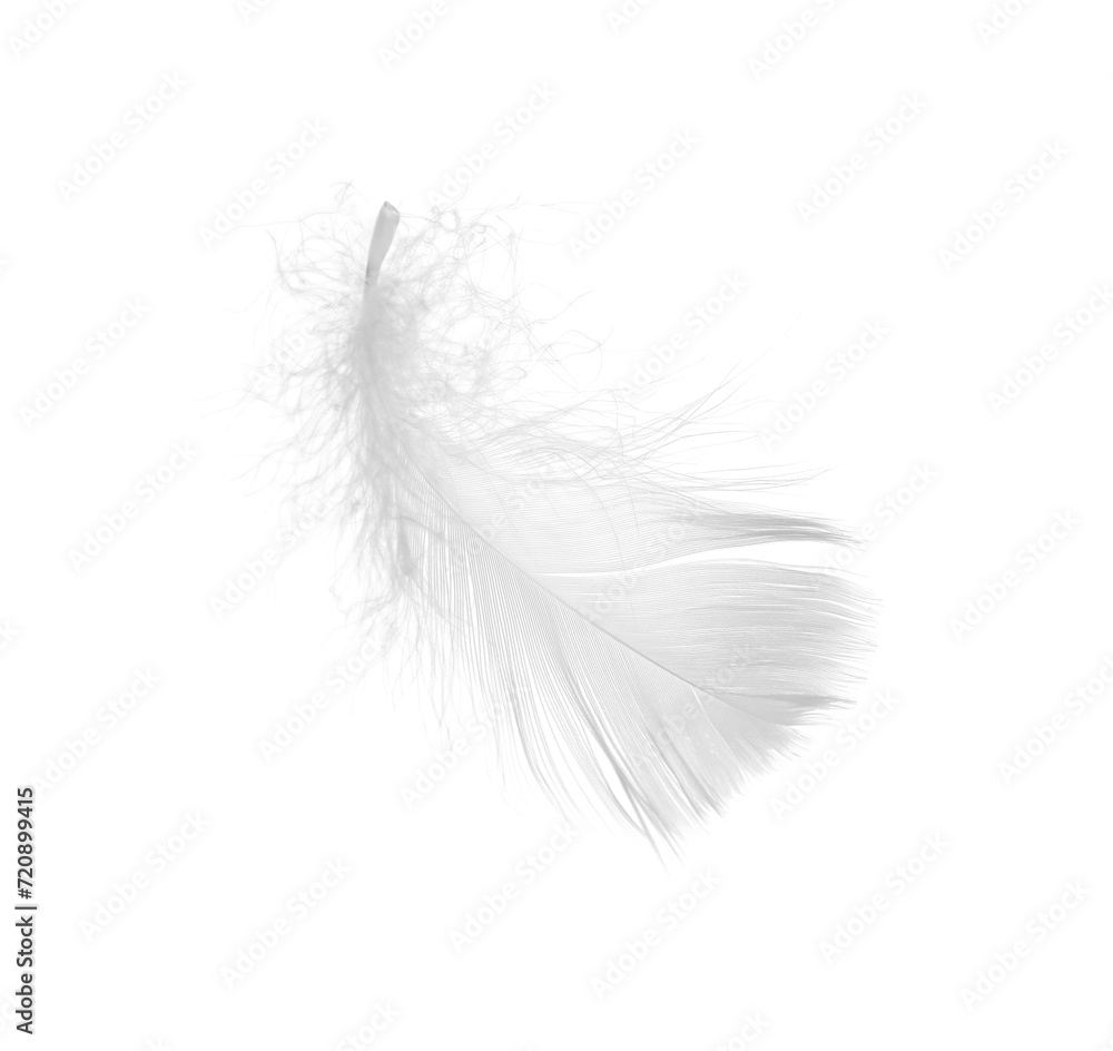 Beautiful fluffy bird feather isolated on white Beautiful fluffy bird feather isolated on white