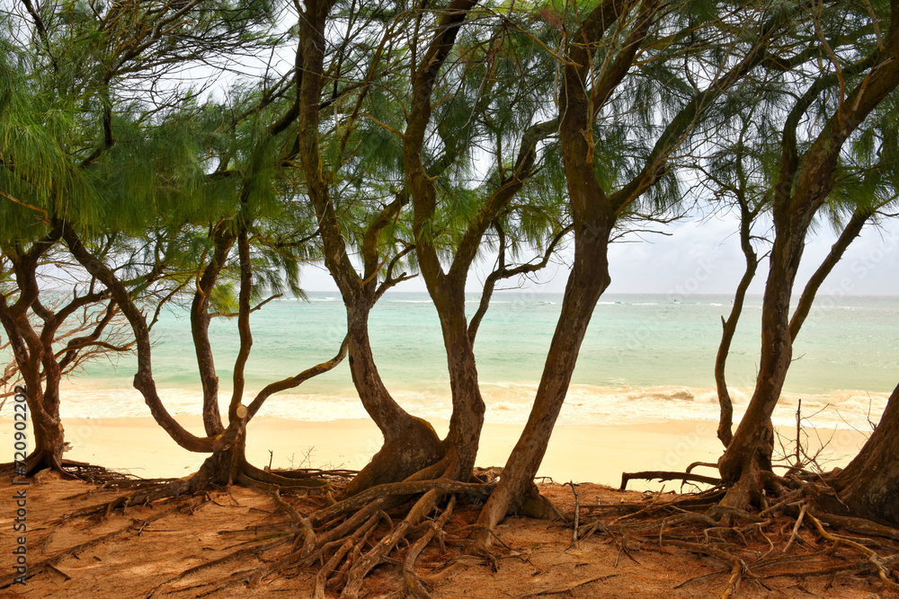 Scenic view of Silver Sands Beach, Barbados Scenic view of Silver Sands Beach, Barbados